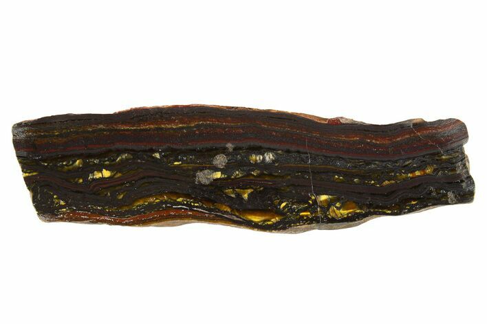 Polished Tiger Iron Stromatolite Slice - Billion Years #314319